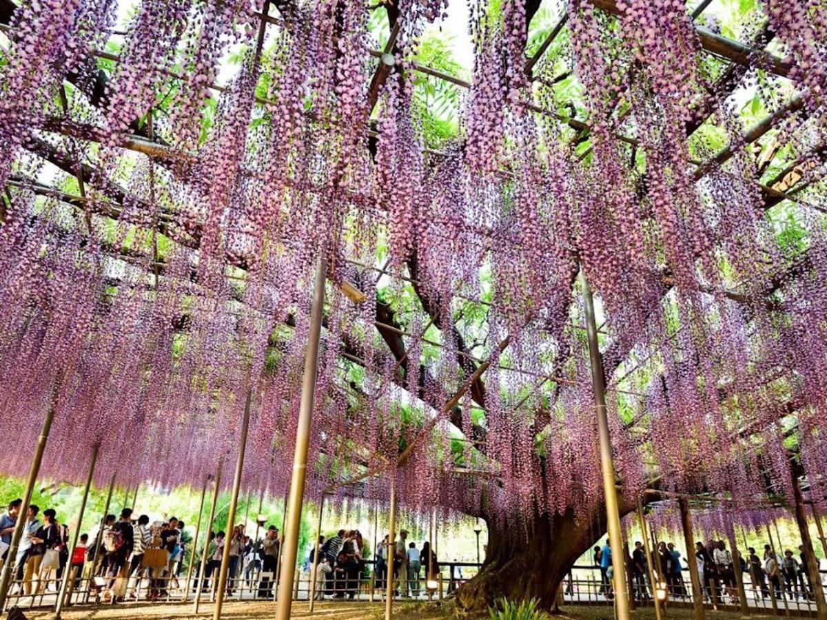 Hotel Nasushiobara Ichimantei Esterno foto